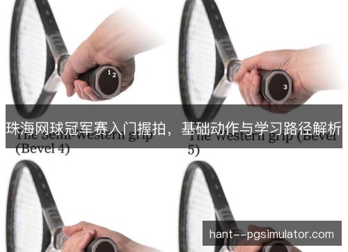 珠海网球冠军赛入门握拍，基础动作与学习路径解析